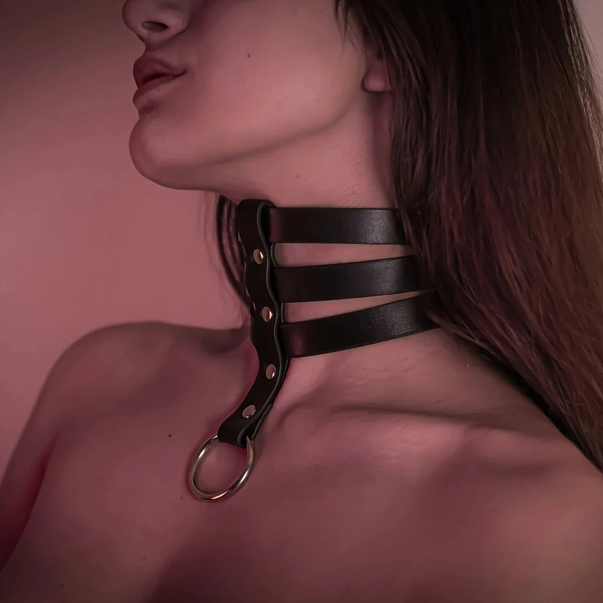 Leather Collar Harness