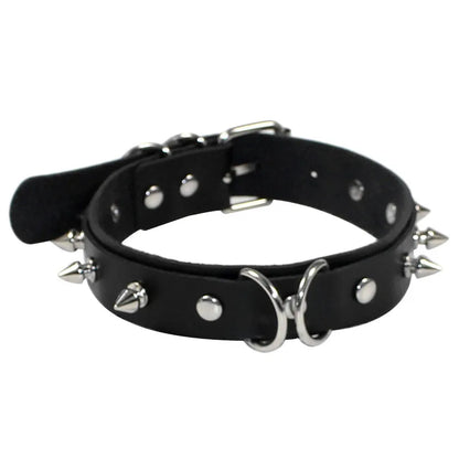 PU Collar & Leash